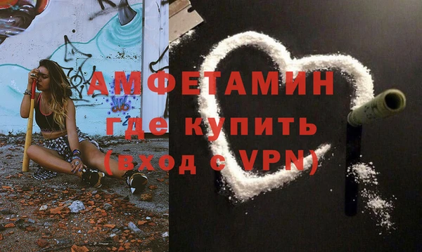 дмт Ельня