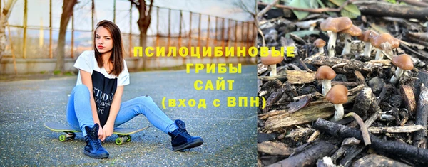 молекула духа Алзамай