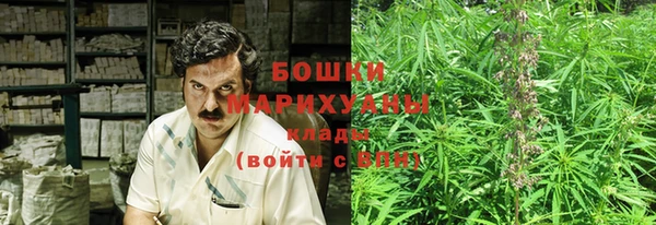 молекула духа Алзамай